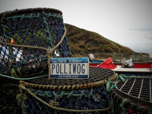 PolliwogPortIsaac2