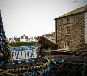 PolliwogPortIsaac3